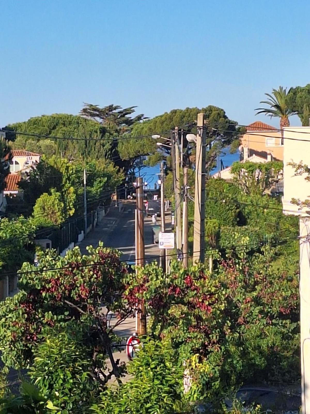 Appartement La Fregate Avec Terrasse A 100M De La Plage Saint-Cyr-sur-Mer Kültér fotó
